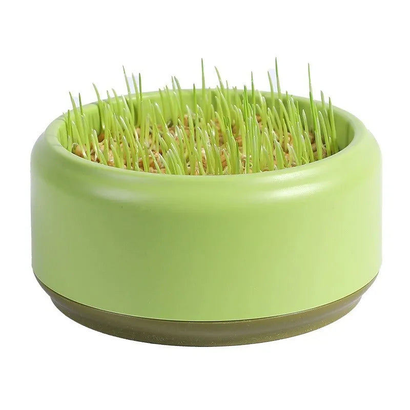 Hydroponic cat grass kit with planting cup and seed packs in blue, green, or yellow colours