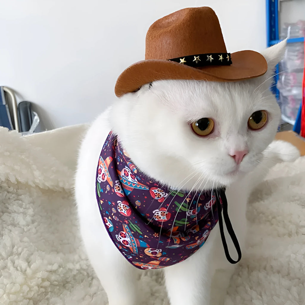 British-style cat cowboy hat with velvet belt decoration in S and M sizes