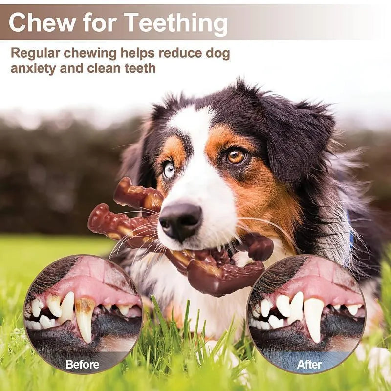 Scarlet red nylon dog molar chew toy with beef flavour coating for dental health