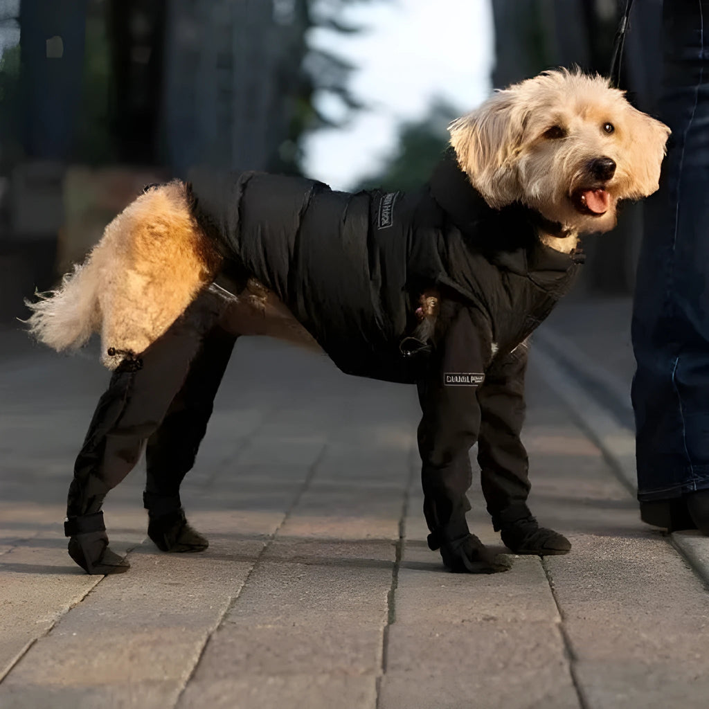 Black waterproof dog shoes with adjustable straps for paw protection