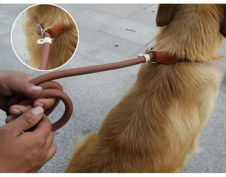 Brown nylon dog leash with P chain hand grip measuring 2.1 metres long