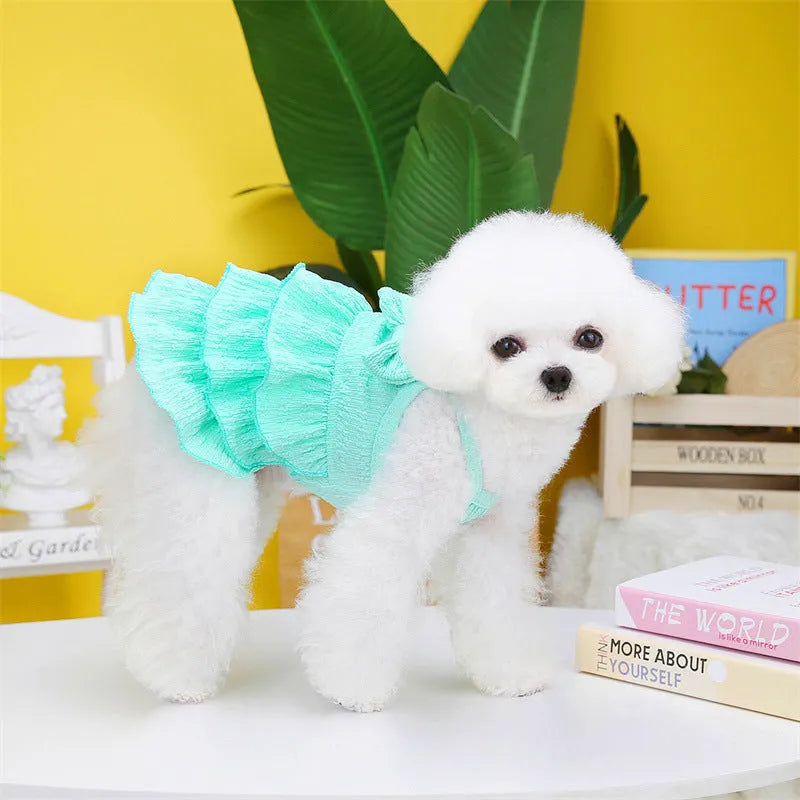 Small dog wearing princess dress with layered skirt in candy colour, suitable for teddy bichon breeds