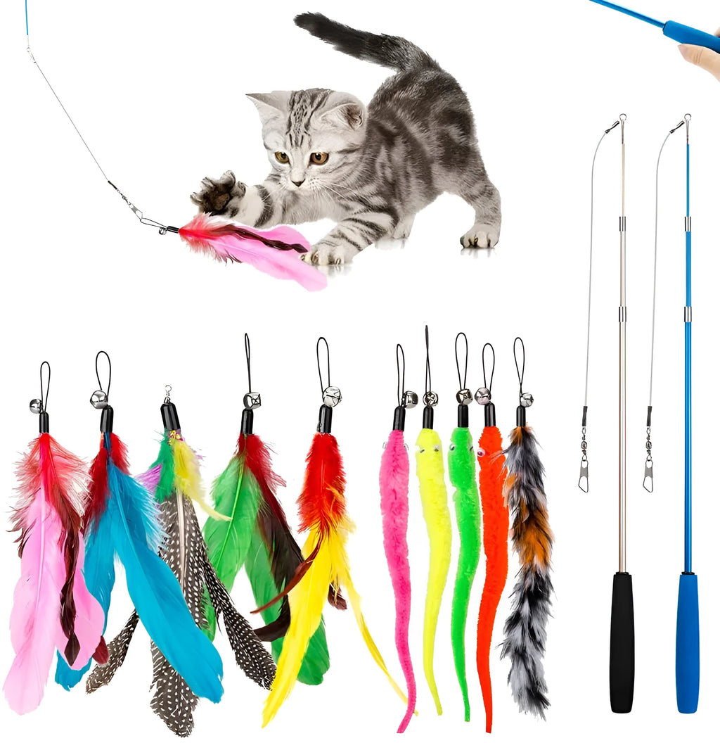 Cat teaser pole set with two fishing rods and ten feather lure heads for interactive play