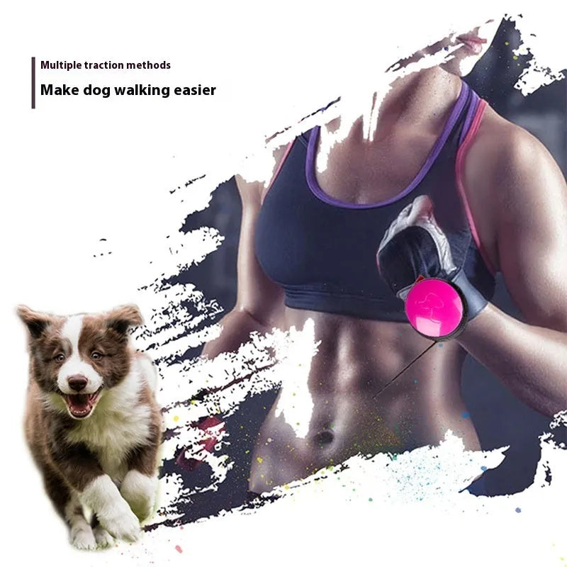 3 metre explosion-proof automatic retractable dog leash in six colour options