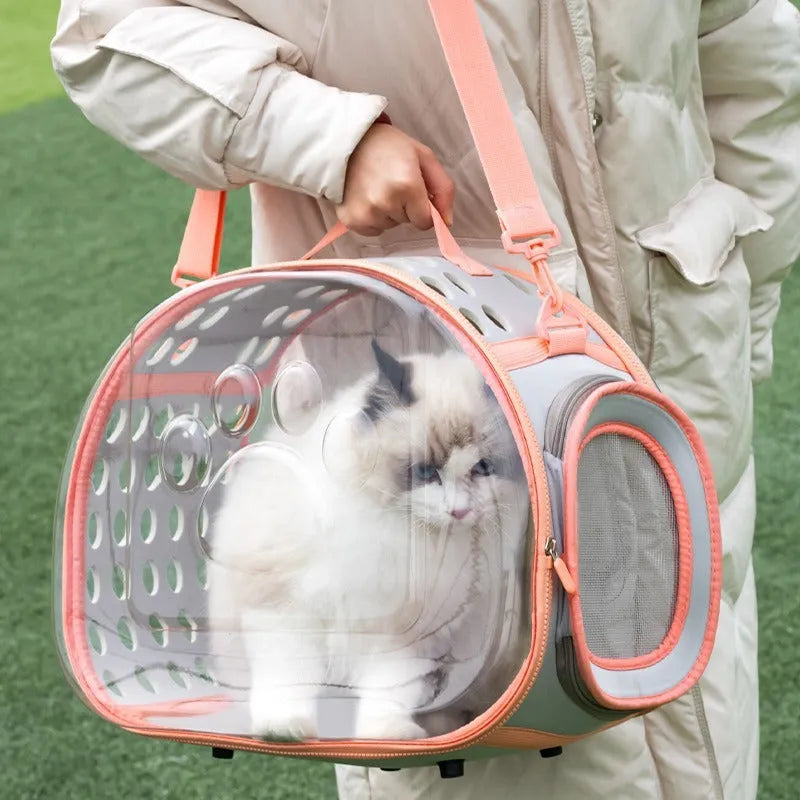 Transparent hard-sided EVA cat carrier backpack in large size for cats up to 9kg