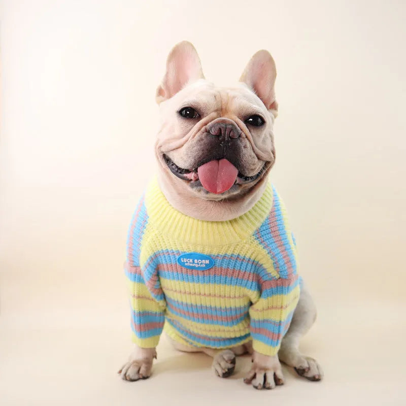 Blue and yellow striped dog sweater for small breeds shown on mannequin