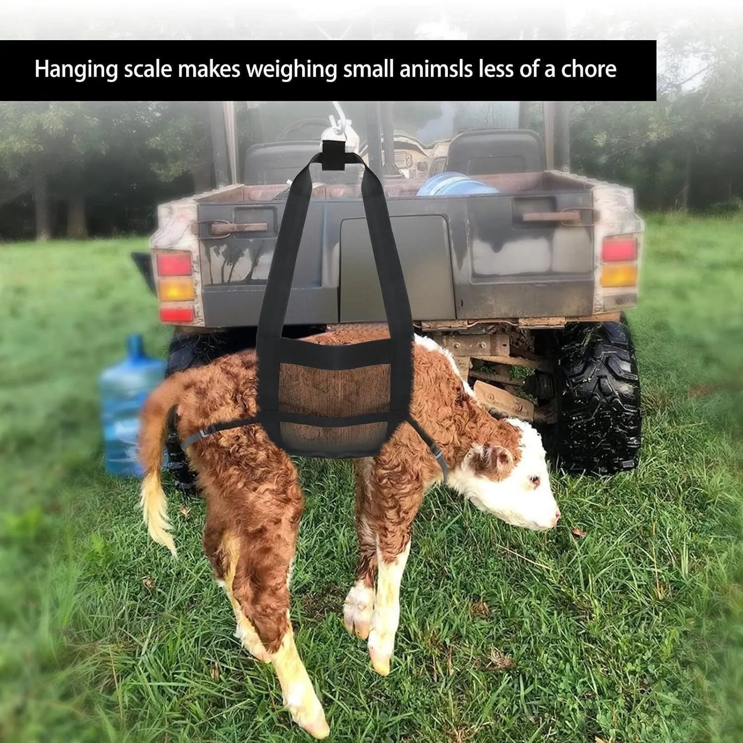 Black heavy-duty nylon animal weighing sling with metal D-rings, laid flat to show 35cm by 150cm dimensions