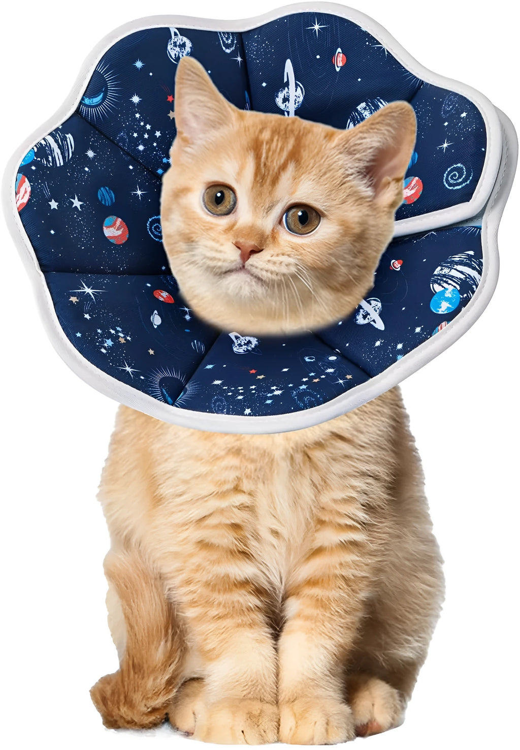 Soft adjustable cat recovery collar in use showing comfortable fit and normal eating position