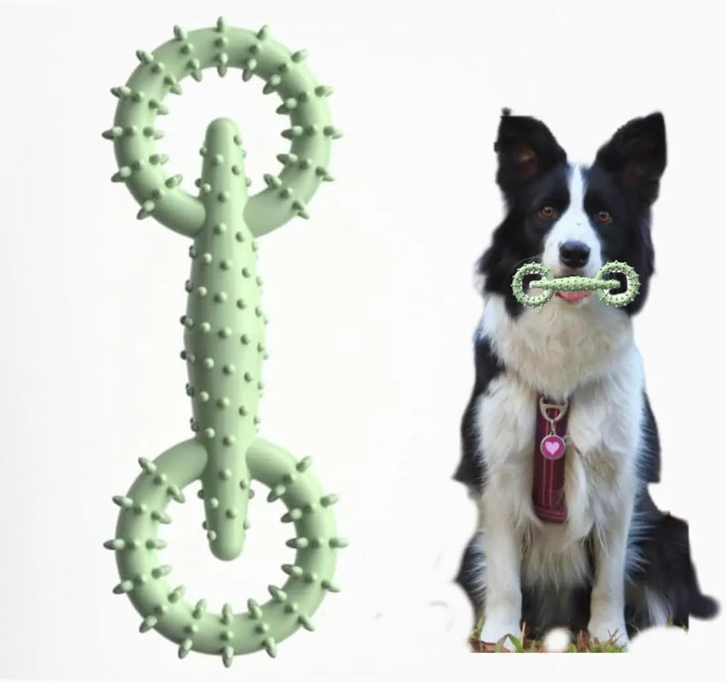Blue TPR dog chew toy ring measuring 16cm by 5.8cm for puppy teething