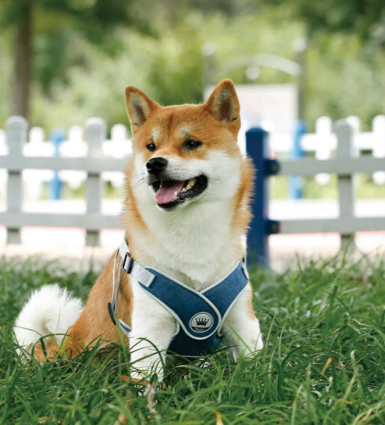 Adjustable dog harness in breathable mesh with reflective chest strap and metal control ring