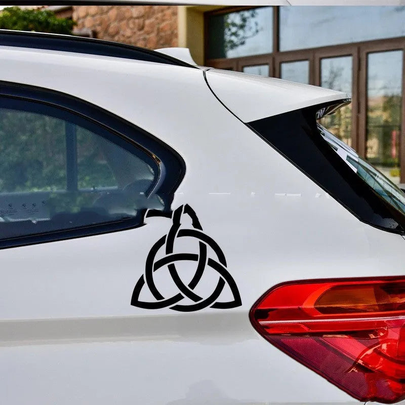 Black vinyl car body sticker applied to a vehicle door panel.