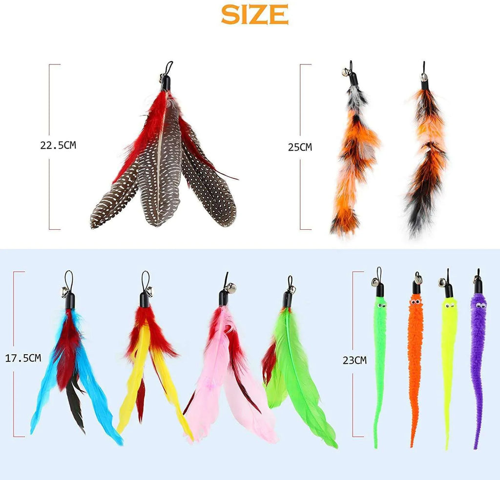 Cat teaser pole set with two fishing rods and ten feather lure heads for interactive play