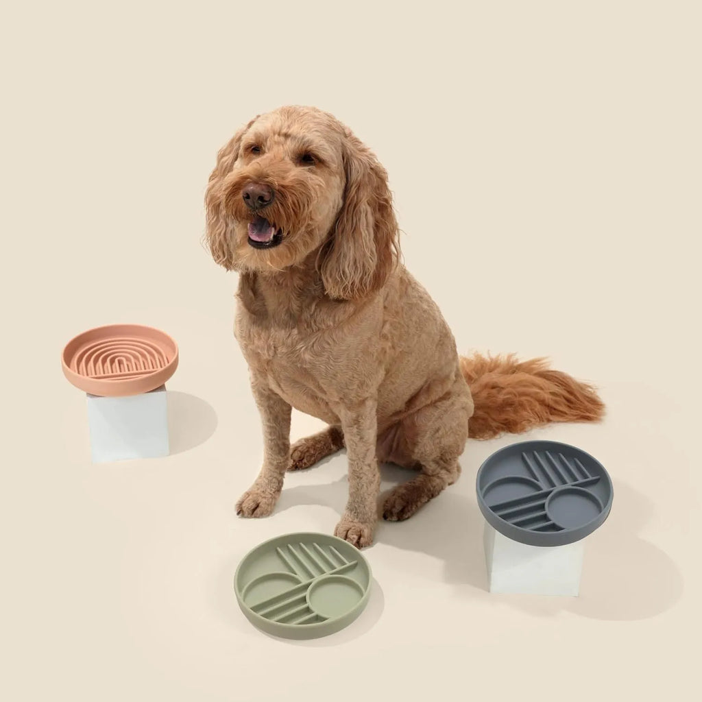 Silicone slow feeder dog bowl with ridges, shown in beige colour, next to dog food.