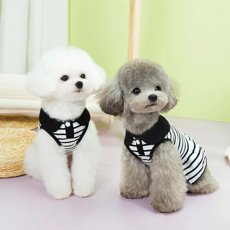 Pet dog wearing cotton summer stripe T-shirt and matching skirt clothing set