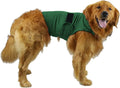 Dog wearing a brown brocade cotton blend anxiety relief tank top for soothing separation stress.