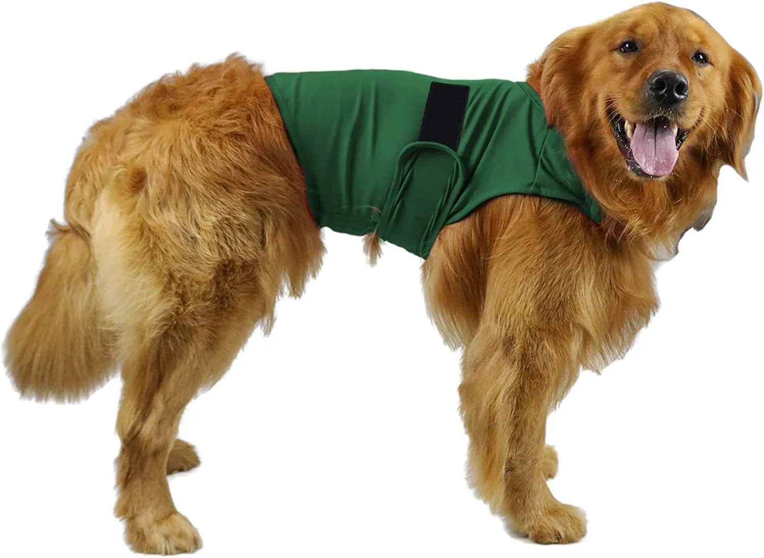 Dog wearing a brown brocade cotton blend anxiety relief tank top for soothing separation stress.