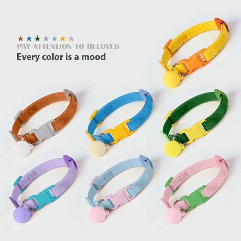 Small dog elastic pet collar in polyester material showing adjustable length of 22-32cm in seven colour options