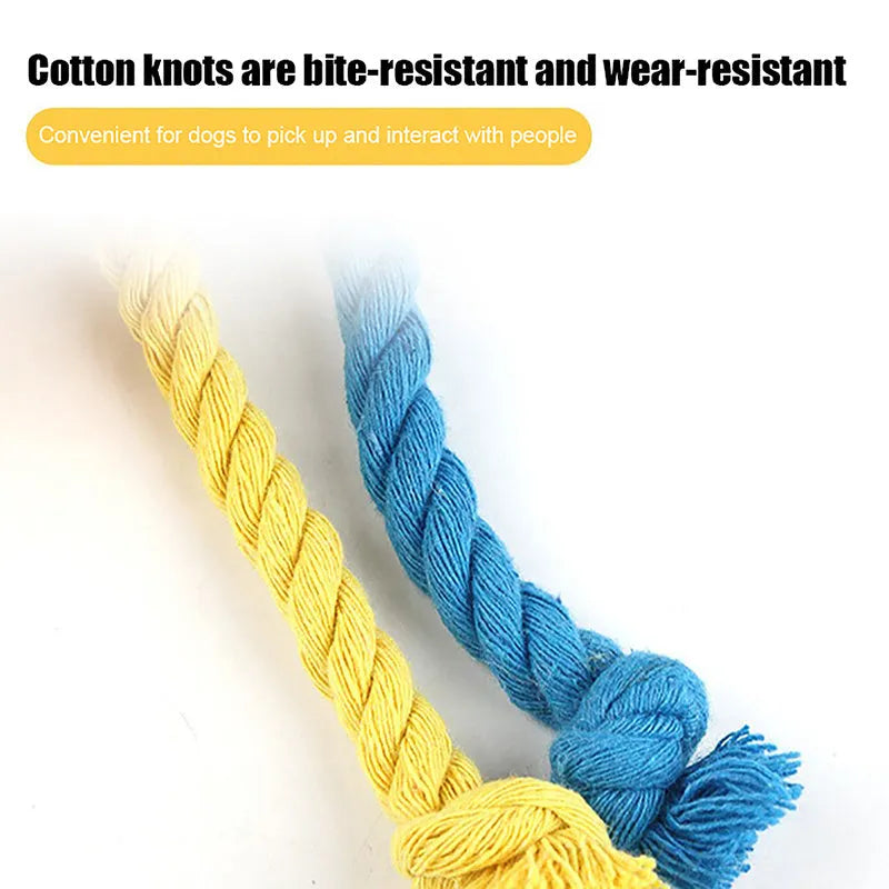 Bright coloured elastic football dog toy with cotton rope construction for tug of war and teeth grinding