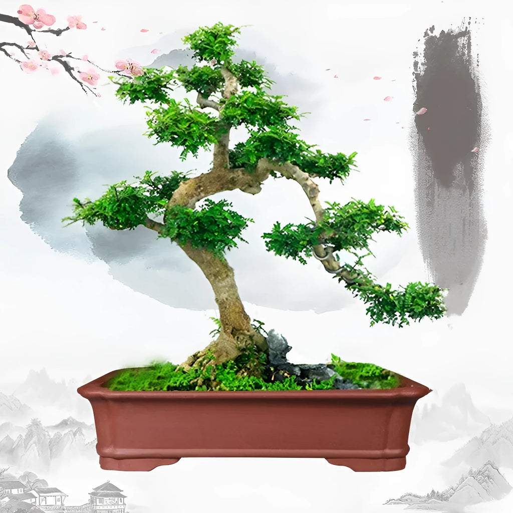 Large rectangular purple clay bonsai flowerpot showing handmade texture and scale.