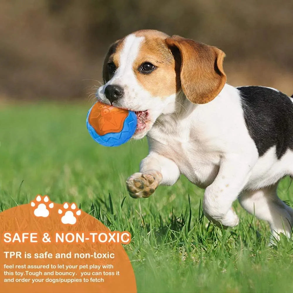 Set of three TPR dog toys: a floating ball, barbell and tyres with bumpy textures for squeaky fetch play.