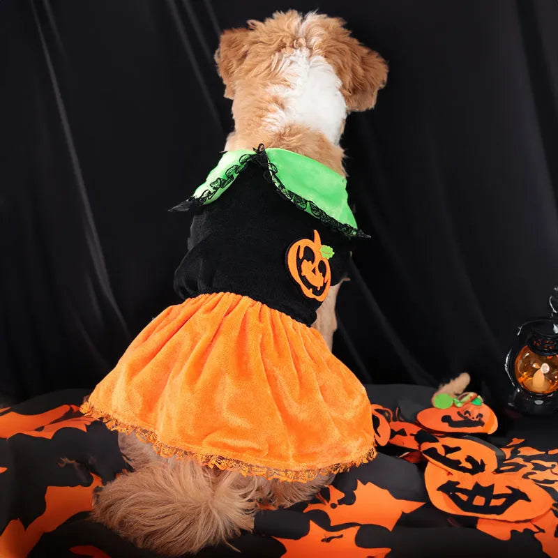 Halloween pumpkin skirt pet costume on a small dog next to a Halloween sweater style variant.