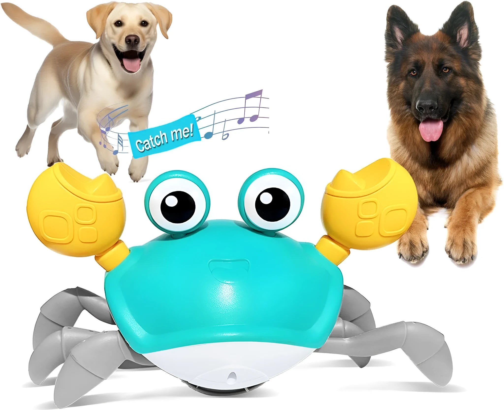 Blue or red electronic crab dog toy with lights, shown crawling, with a USB charging cable
