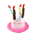 Blue and pink small dog birthday hat with a bone-shaped squeaker toy gift set.