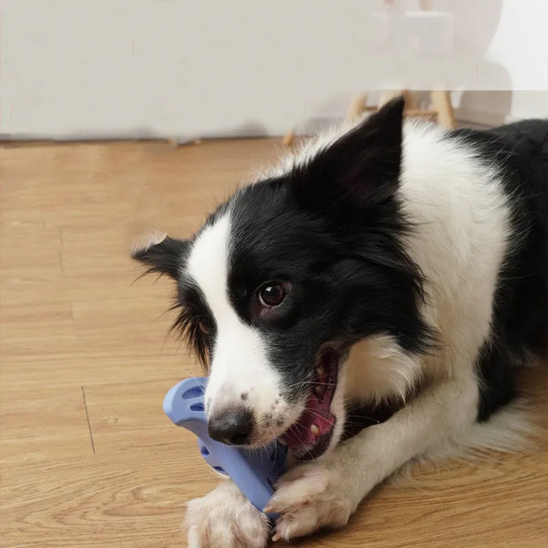 Blue boomerang-shaped dog toy with molar texture for medium and large breed dogs