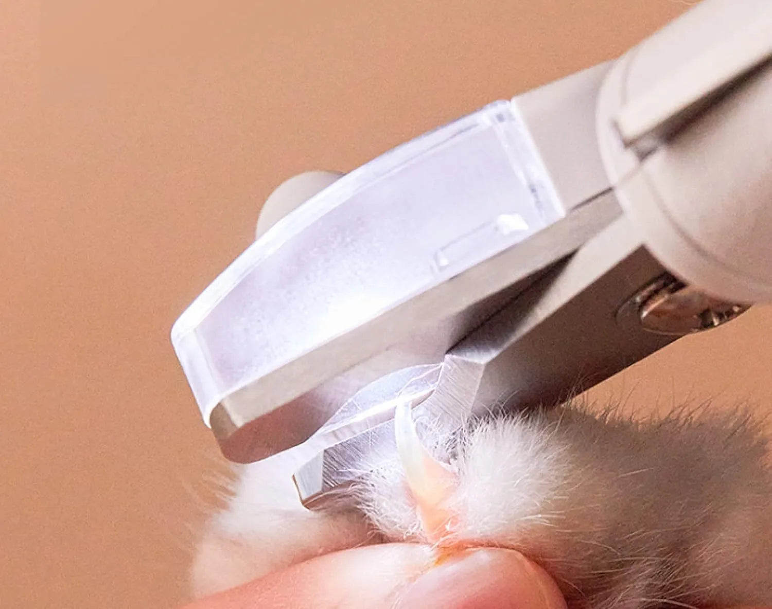 White LED pet nail clippers with transparent guard open, showing triangular steel blades and a nail file.