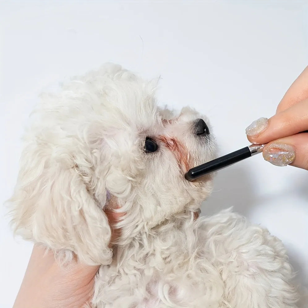 Black pet grooming brush with dual heads: soft bristles for eye cleaning and comb for hair removal
