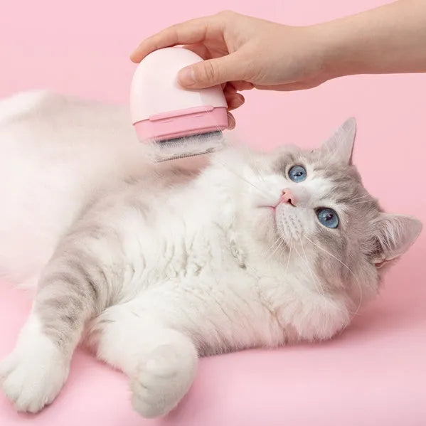 Plastic pet grooming comb for cats and dogs in blue, pink, grey, brown, and green, with double head pocket, pebble, and hook comb styles