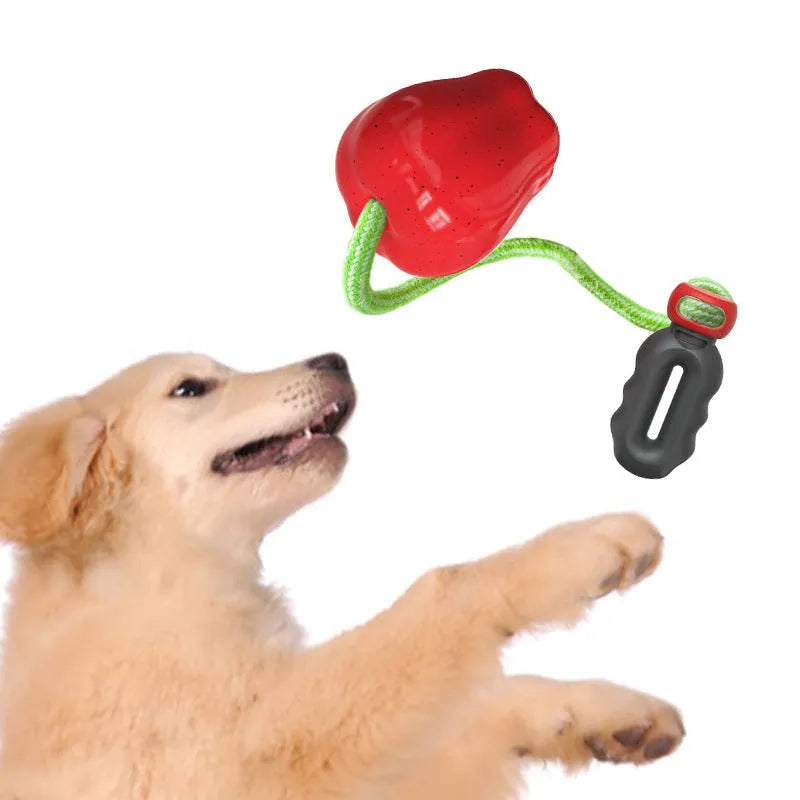 Green plastic dog toy shaped like a molar with hollow treat-dispensing centre