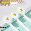 Box of 20 disposable bead toothbrushes in mint, peach, green tea and mixed flavours for travel.