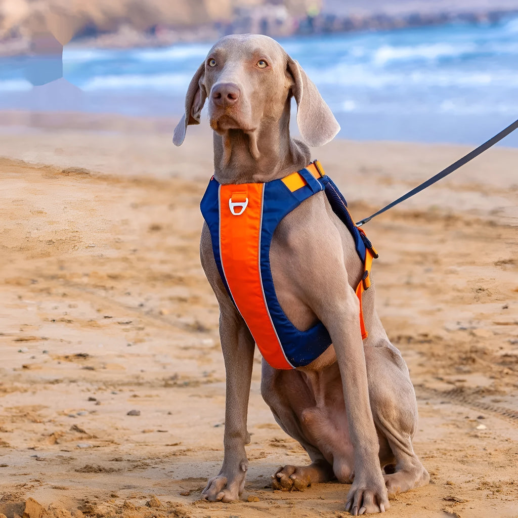 Dog chest strap vest harness in nylon with adjustable straps for secure walking