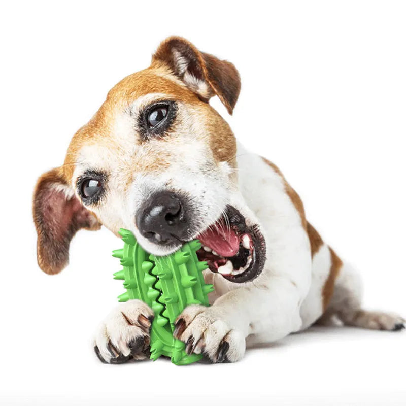 Green cactus-shaped dog chew toy with textured bumps for dental cleaning, showing central treat channel