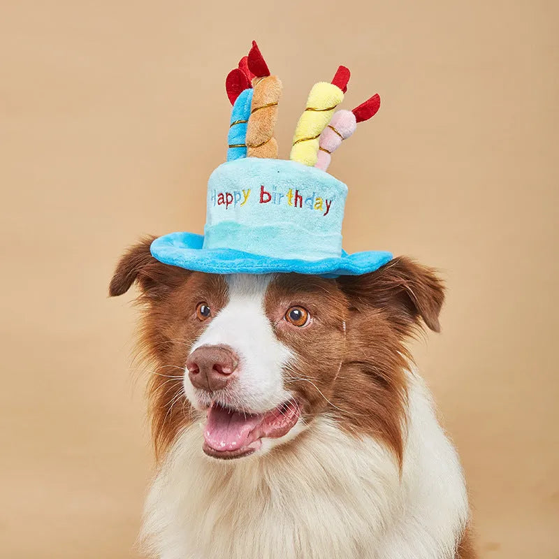 Blue and pink small dog birthday hat with a bone-shaped squeaker toy gift set.