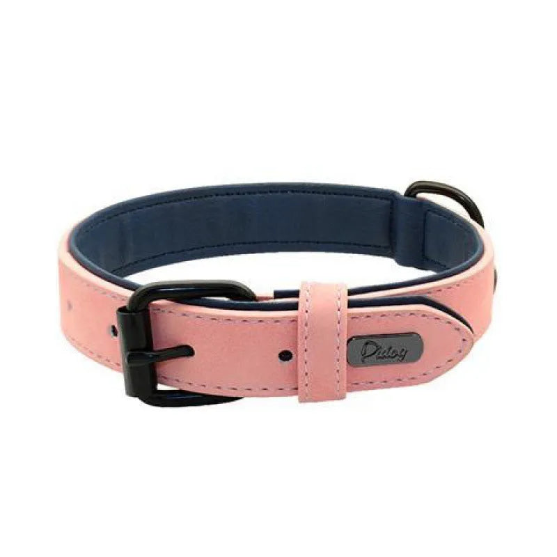 Adjustable double-layer thickened dog collar in purple, showing buckle and D-ring for ID tags.