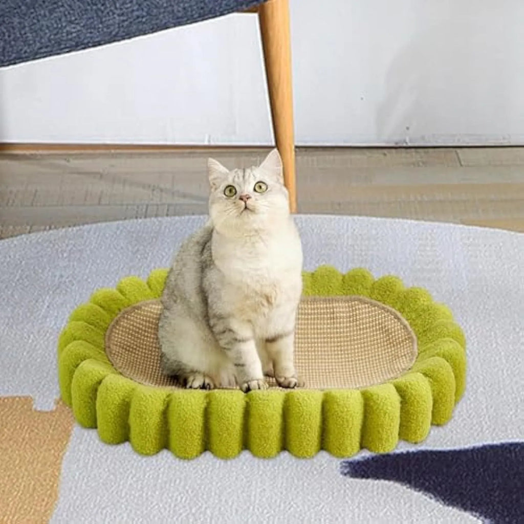 Green oval cat scratch pad bowl with sisal scratching surface measuring 650x420mm