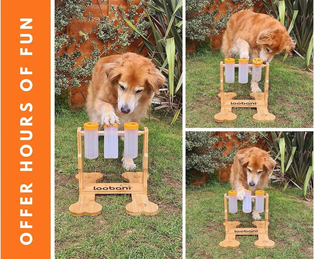 Wooden dog puzzle toy interactive feeder measuring 31x30x20cm in natural wood colour