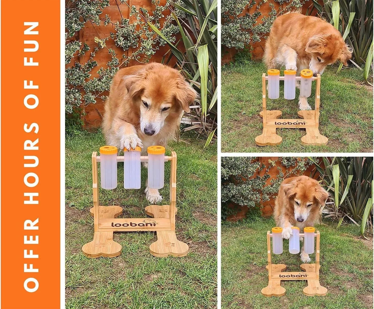 Wooden dog puzzle toy interactive feeder measuring 31x30x20cm in natural wood colour