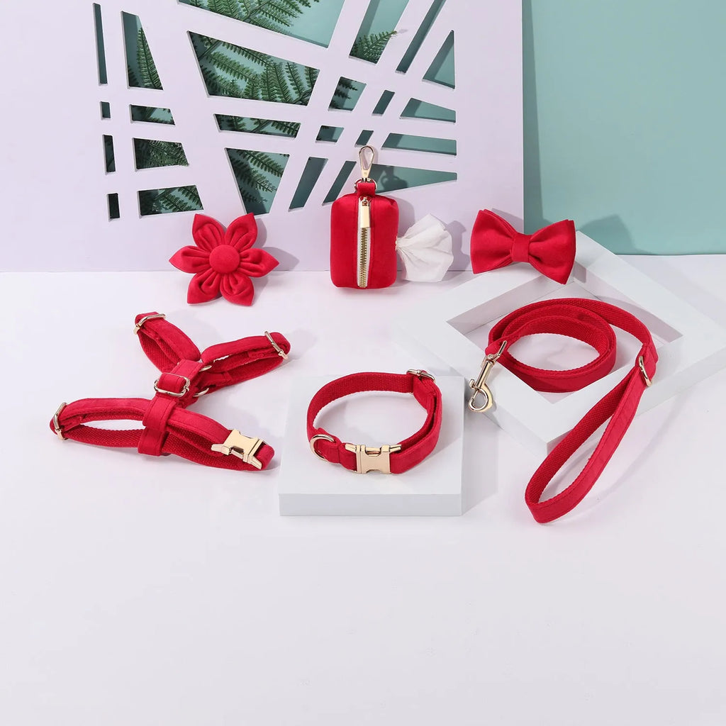 Classic velvet soft pet collar and traction rope set with chest strap, bow tie, flower and toilet bag accessories