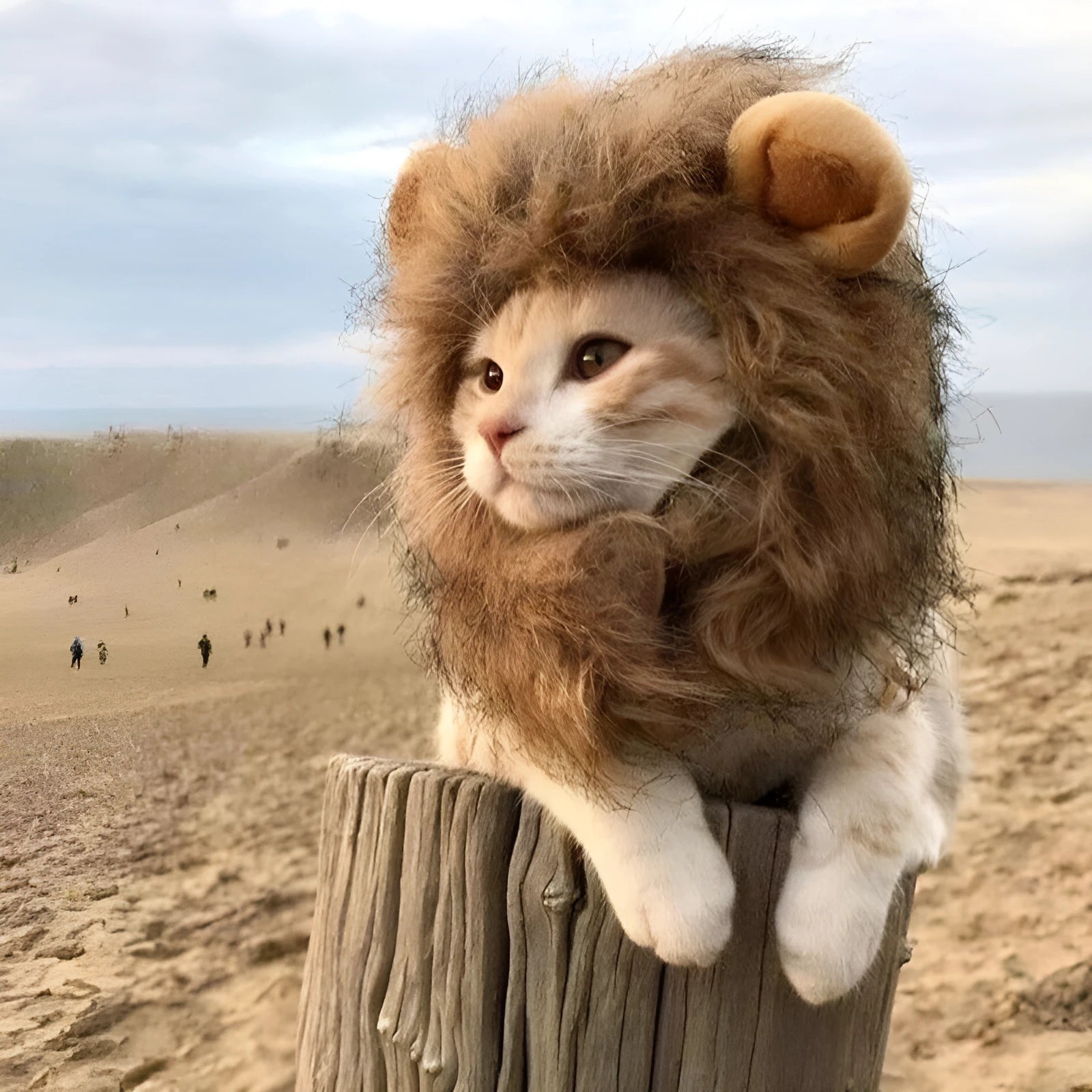Lion mane wig for cats and small dogs with artificial hair and adjustable elastic band