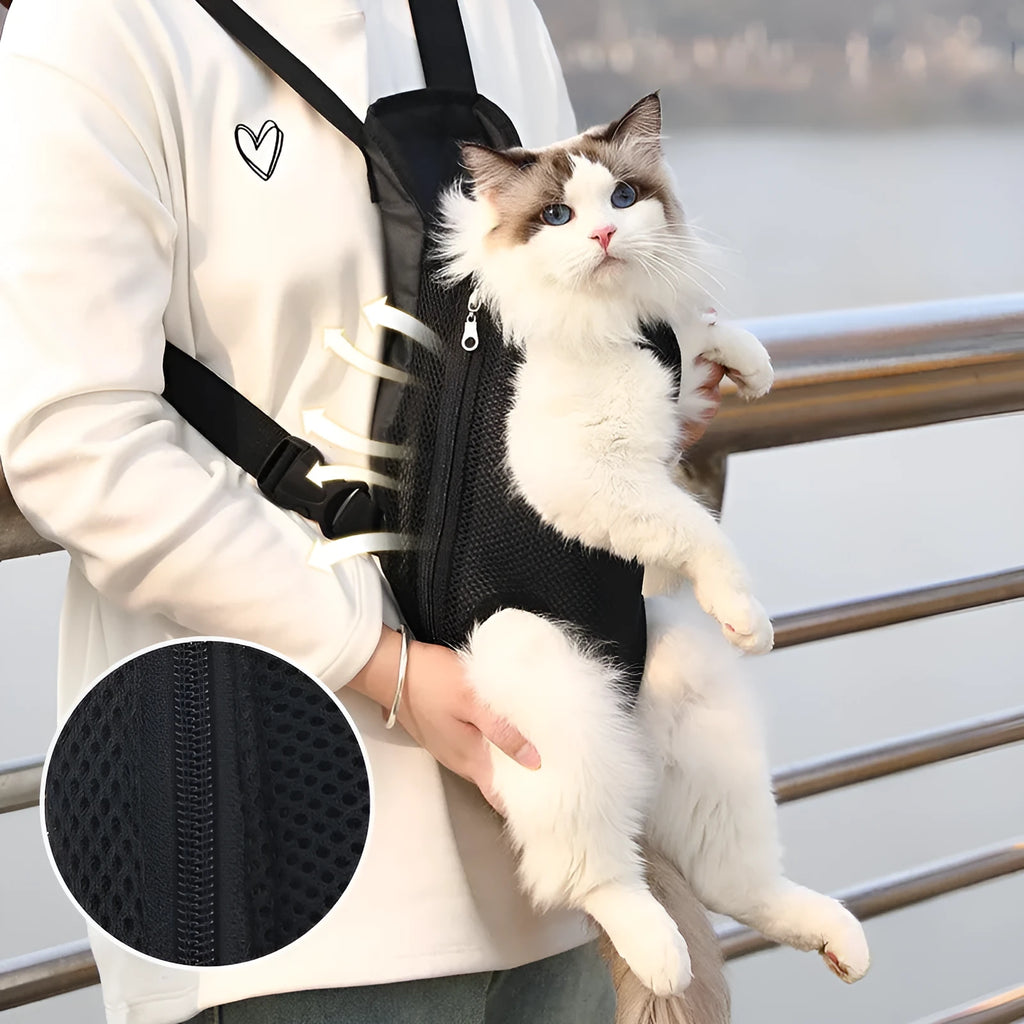A person wearing a black nylon dog carrier backpack on their chest, containing a small dog looking out.