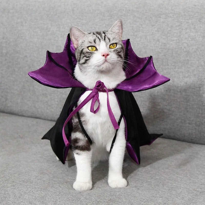 Halloween pet cloak for cats and dogs in batwing or common style, red black purple orange colour options