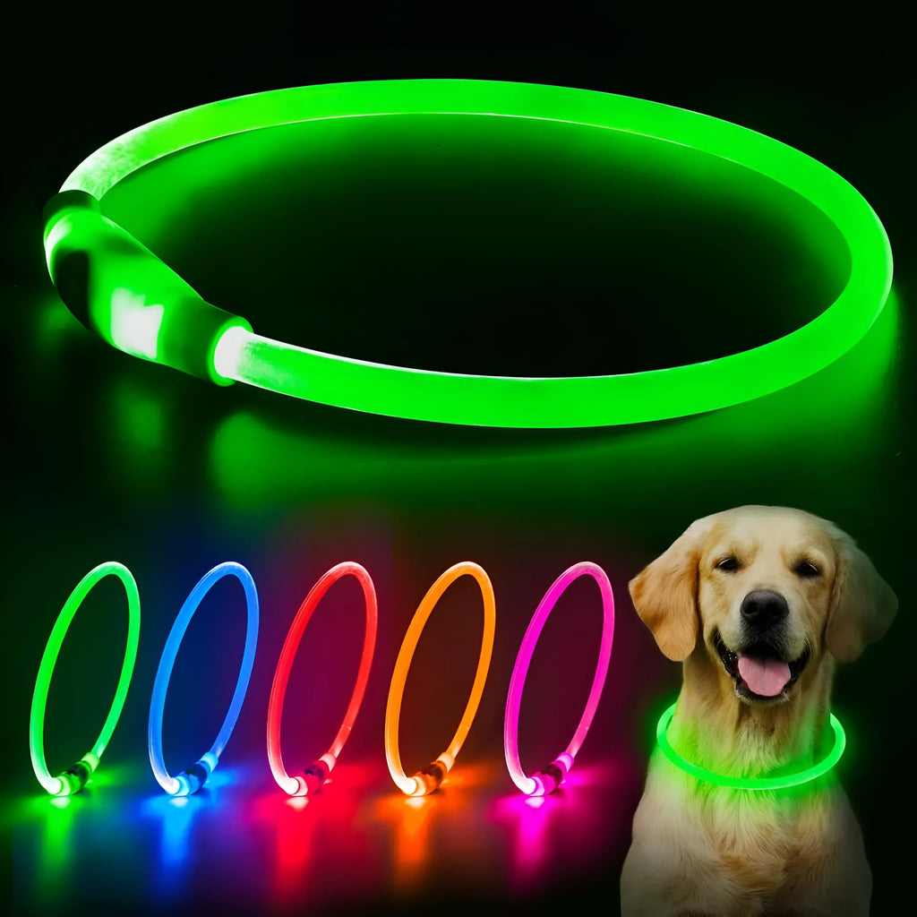 Blue USB rechargeable LED dog collar glowing on a dog's neck at night.