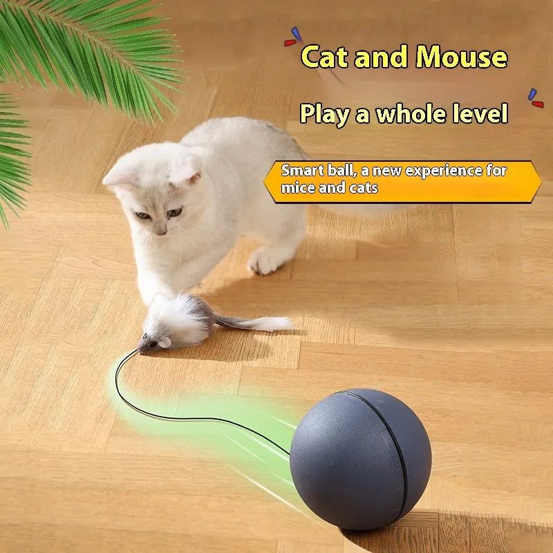 Automatic cat teasing ball toy with plush mouse attachment in blue orange colour