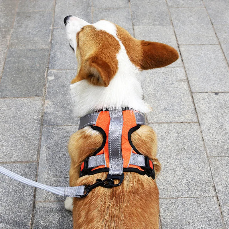 Adjustable polyester dog harness with chest and back straps in multiple colour options