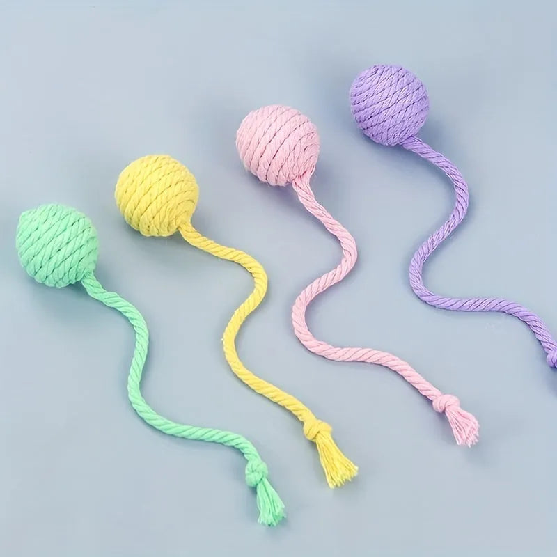 Colourful cat toy ball with rope attachment and built-in bell for interactive play