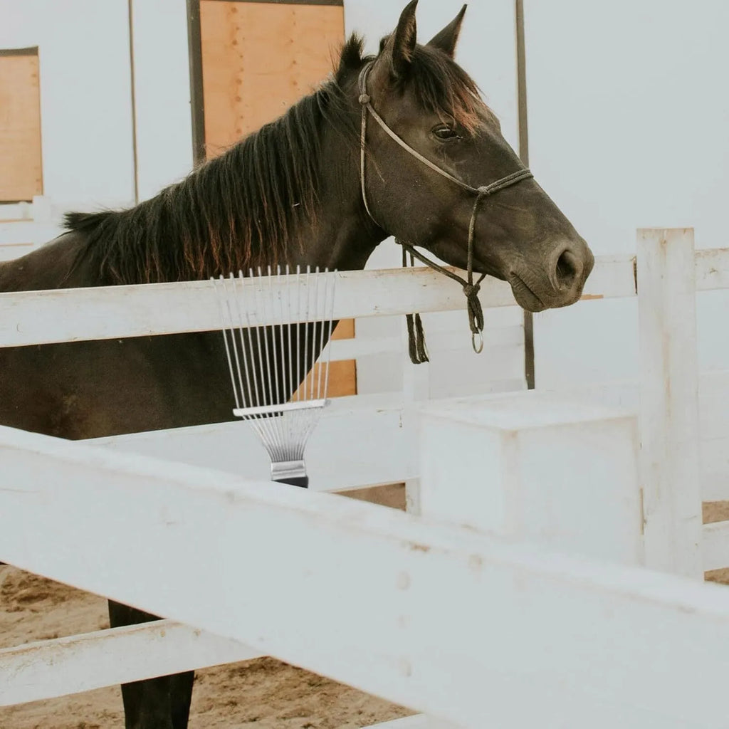 Black stainless steel pet grooming rake comb with metal teeth for horse, dog, and cattle grooming.
