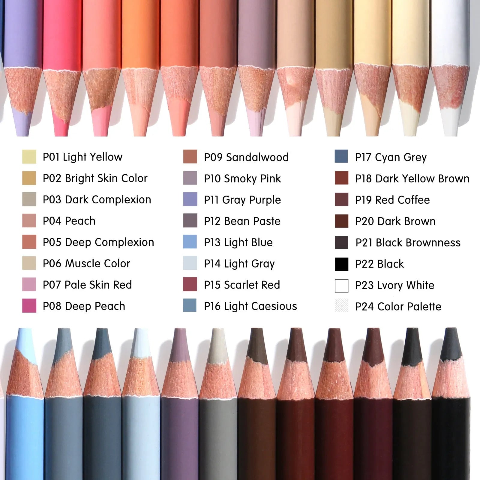 24 skin colour pencils for portrait artwork in round brush pot iron storage box
